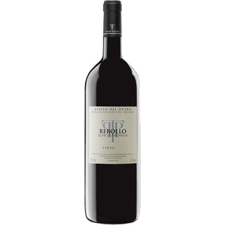 TOMAS POSTIGO Red wine DO Ribera del Duero magnum 1,5 l