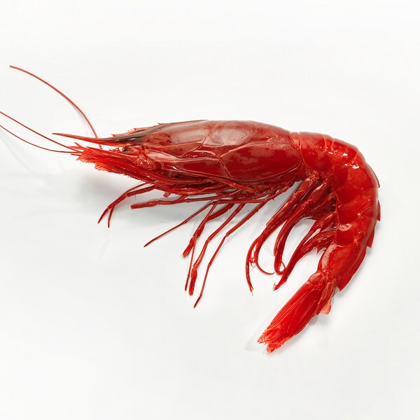 Tiefseegarnelen 6-7 Stück/