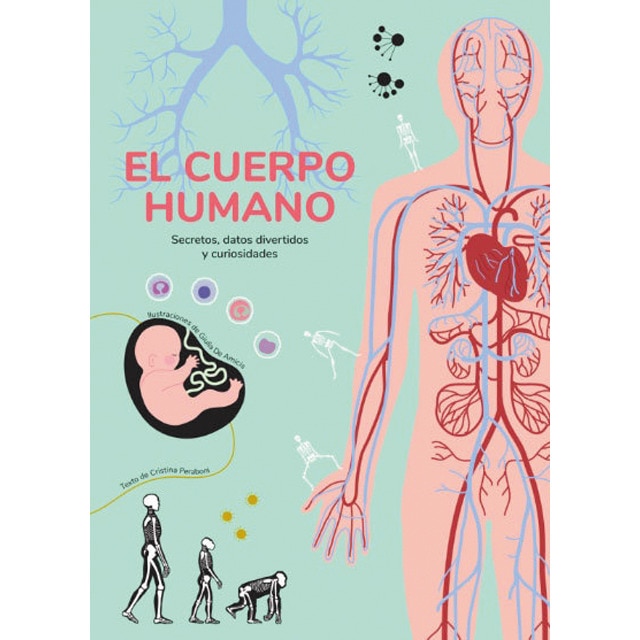 EL CUERPO HUMANO (VVKIDS) (Tapa dura)