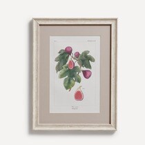 Lot de 2 tableaux Fruits El Corte Inglés
