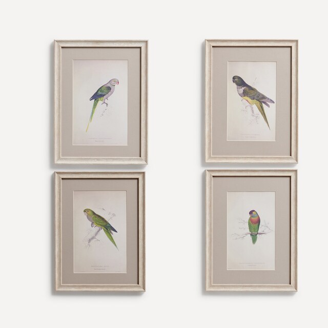 Set de 4 cuadros Pájaros El Corte Inglés