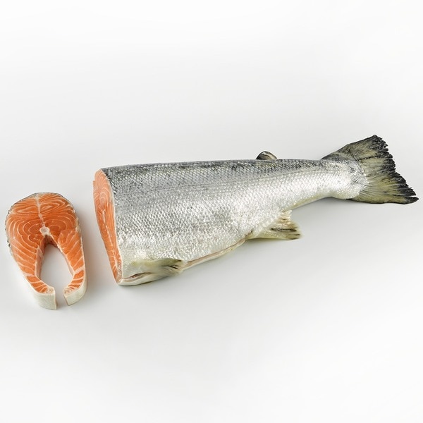 Freshly cut Norwegian salmon ASC