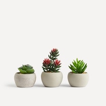 Lot de 3 mini-plantes artificielles Cactus El Corte Inglés