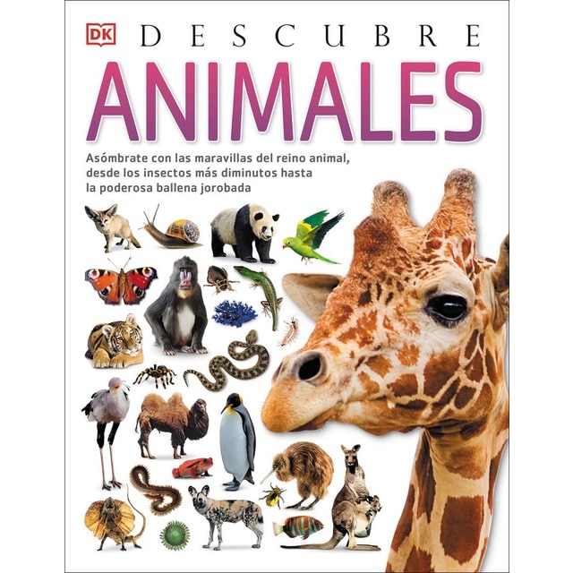 Animales, Descubre (Tapa dura)