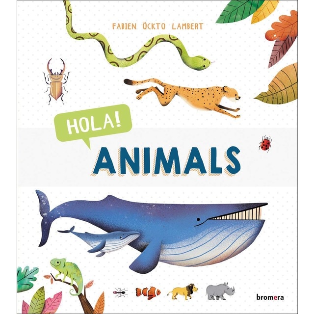 Hola! Animals