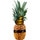 Abacaxi Sweet Gold Gama Ouro Peso Aproximado unidade 1,7 kg