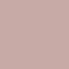 03 Nude Flush