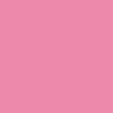 05 Twisted Tulip