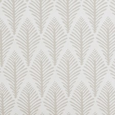 Crudo / Tostado Crudo / Tostado