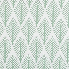 Crudo / Verde Crudo / Verde