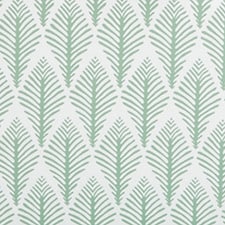 Crudo / Verde Crudo / Verde