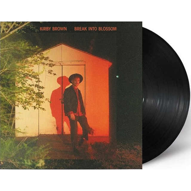Break Into Blossom LPVinilo