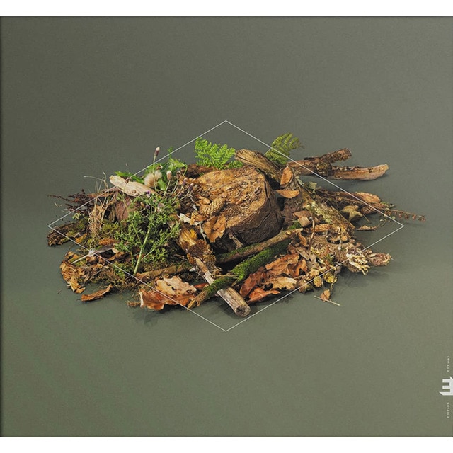 Forest Floor CD