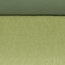 Verde / Verde-claro