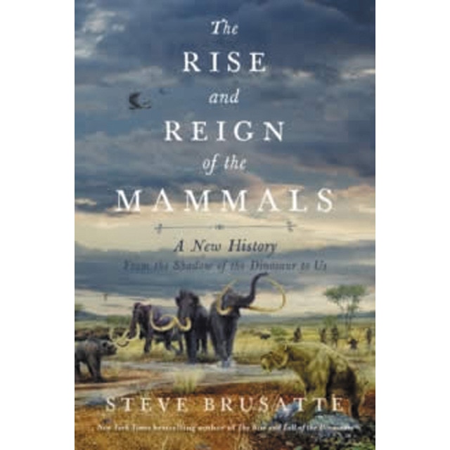 The rise and fall of the mammals