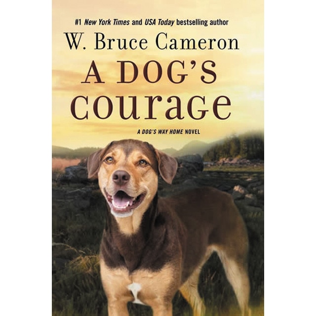 A dog's courage