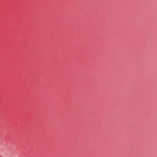 Sheer Flamingo