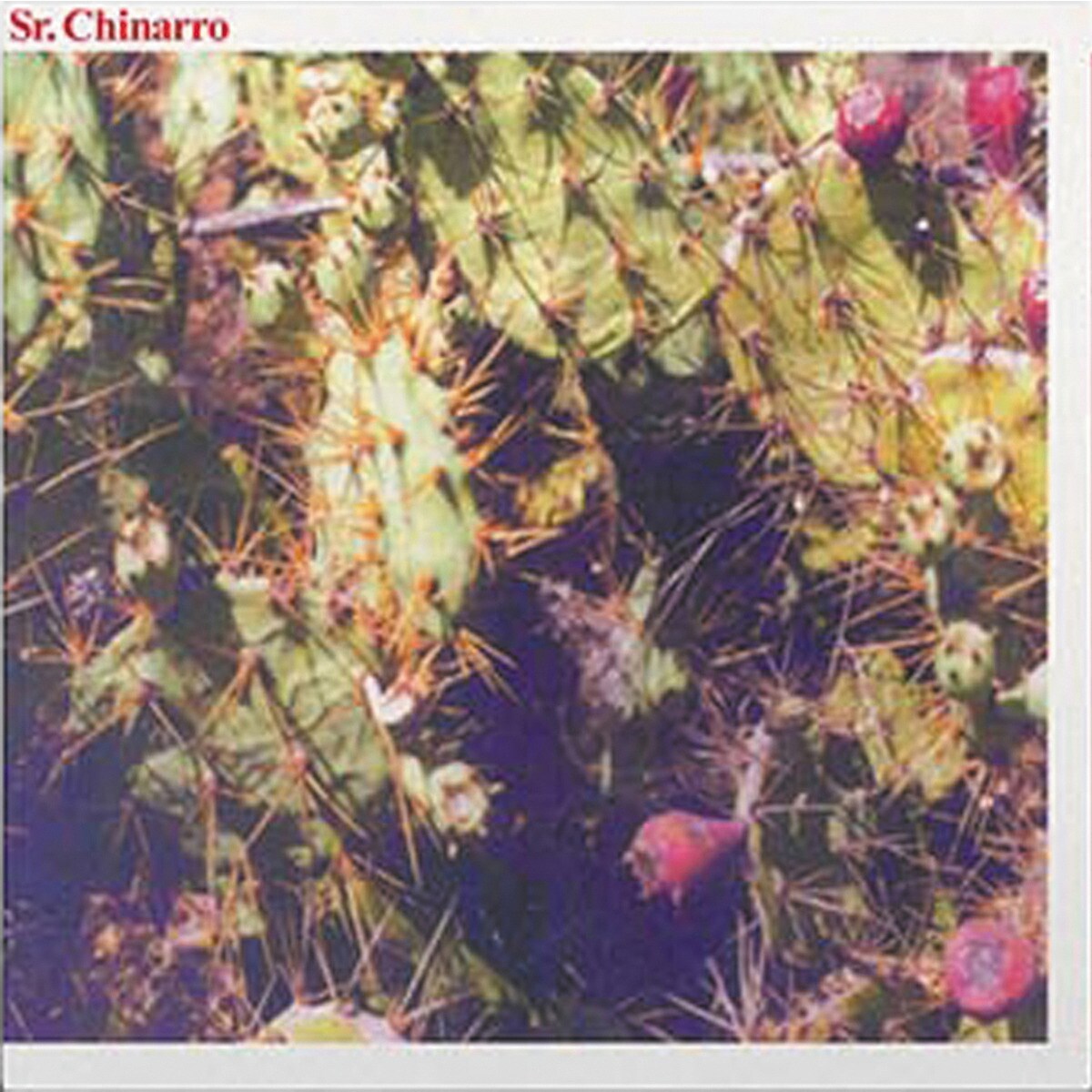 Imagem 0 de Sr. Chinarro Debut (Edição Color) (LP-Vinil)