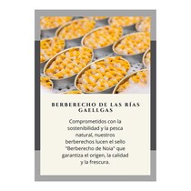 Coques au naturel DOP des rias galiciennes 18/24 pièces Real Conservera Española
