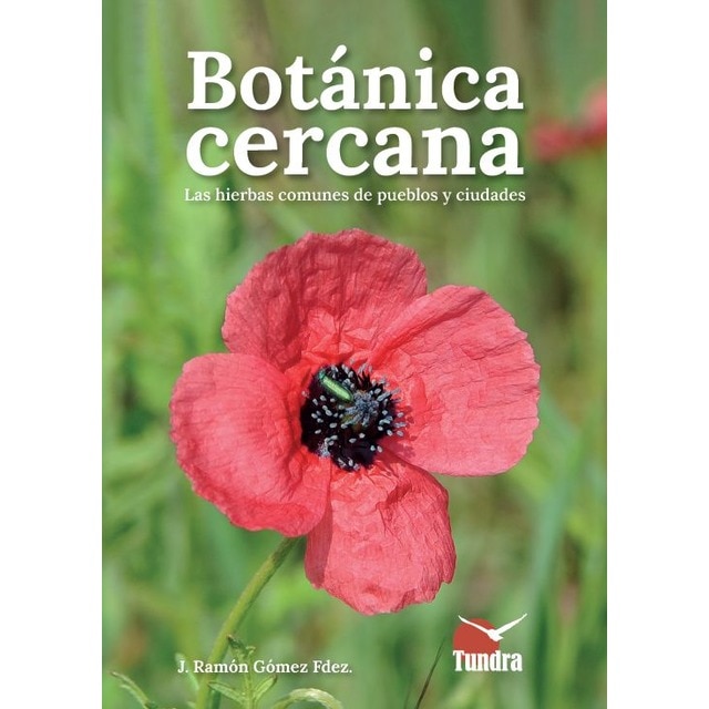Botánica cercana. Las hierbas comunes de los puebl