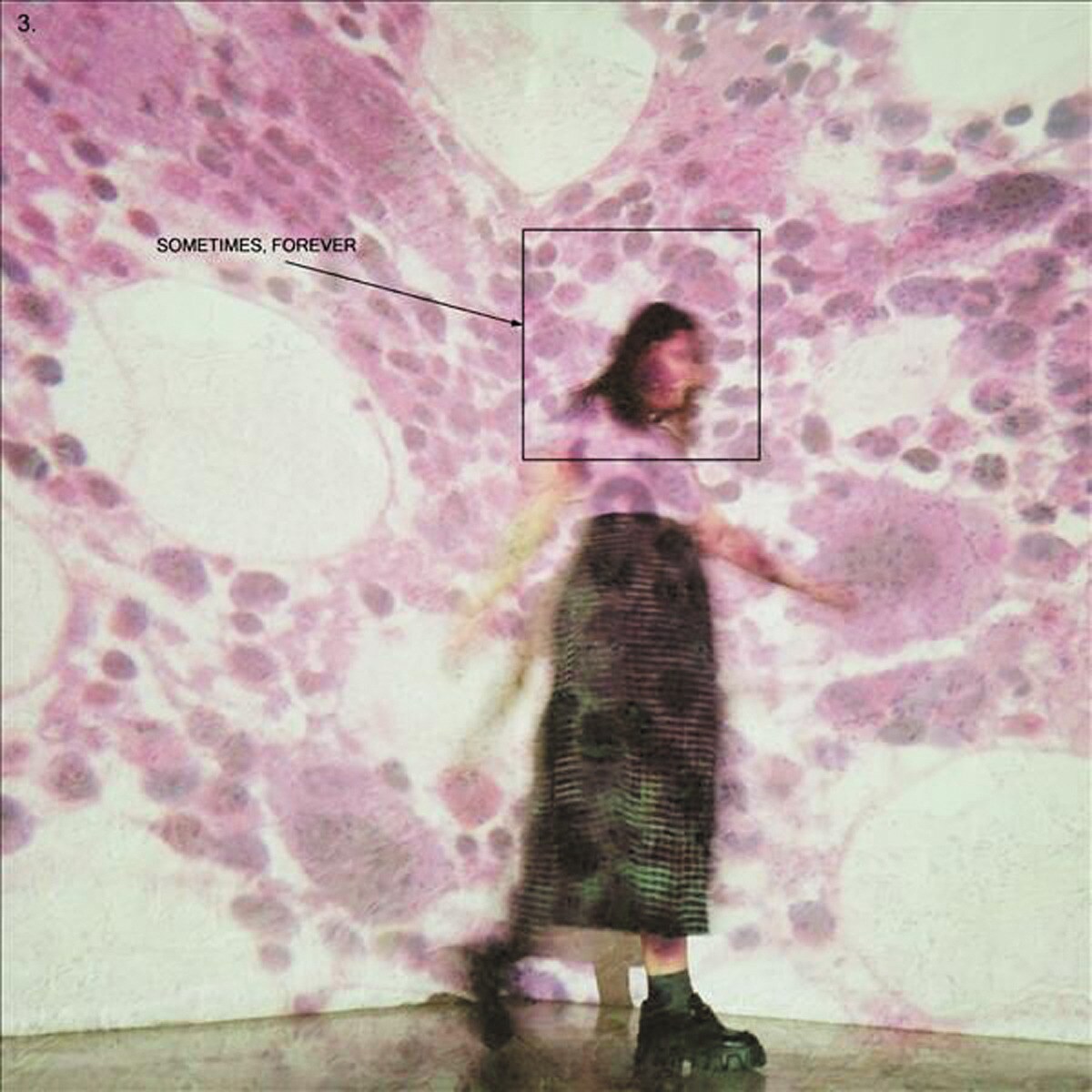 Imagem 0 de Sometimes. Forever (LP-Vinil)