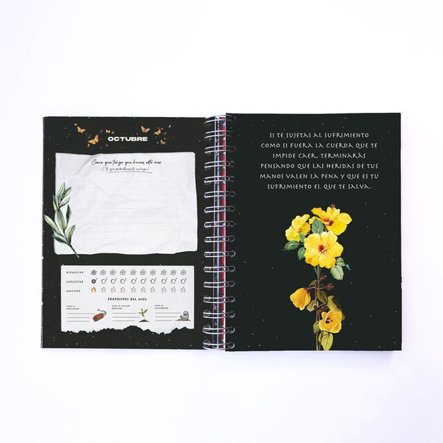 Flores y Dinamita: Agenda 2023 (Capa dura) 3