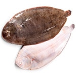 Zucht-Seezunge, ungefähres Gewicht Stück 300-800 g