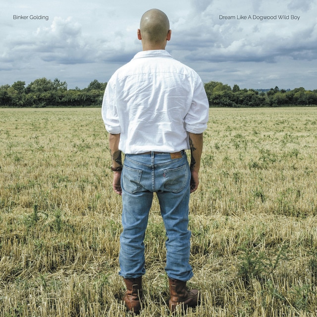 Dream like a Dogwood Wild Boy CD