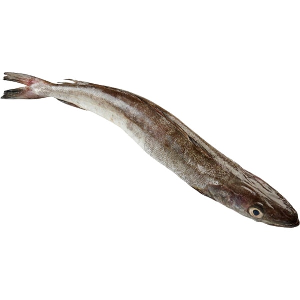 Pescada Nacional 2/3 KG ao peso 1 kg
