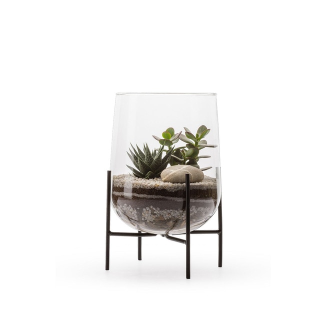 Terrario Berlyn Naturalys 2 Suculentas