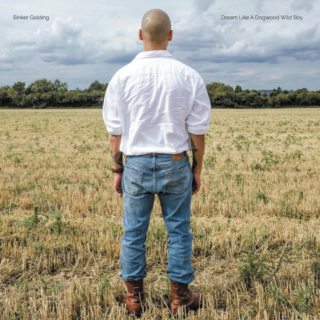 Dream like a Dogwood Wild Boy LPVinilo