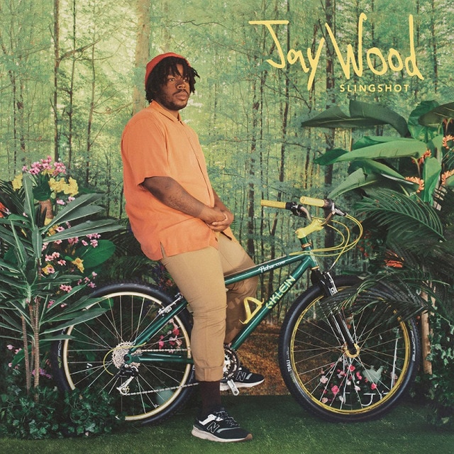 Slingshot (CD).