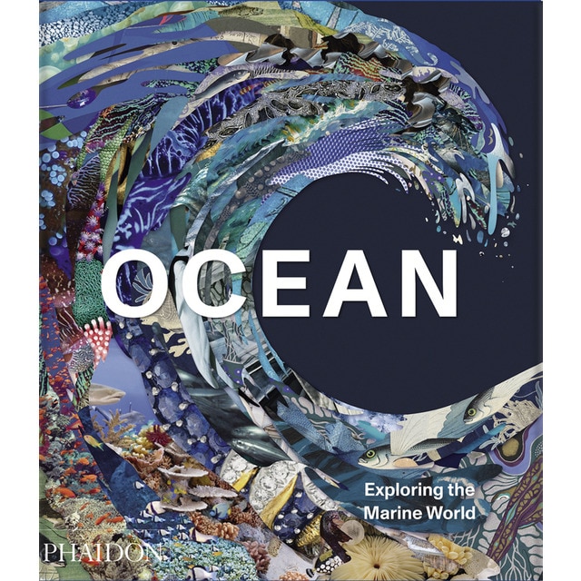 Ocean