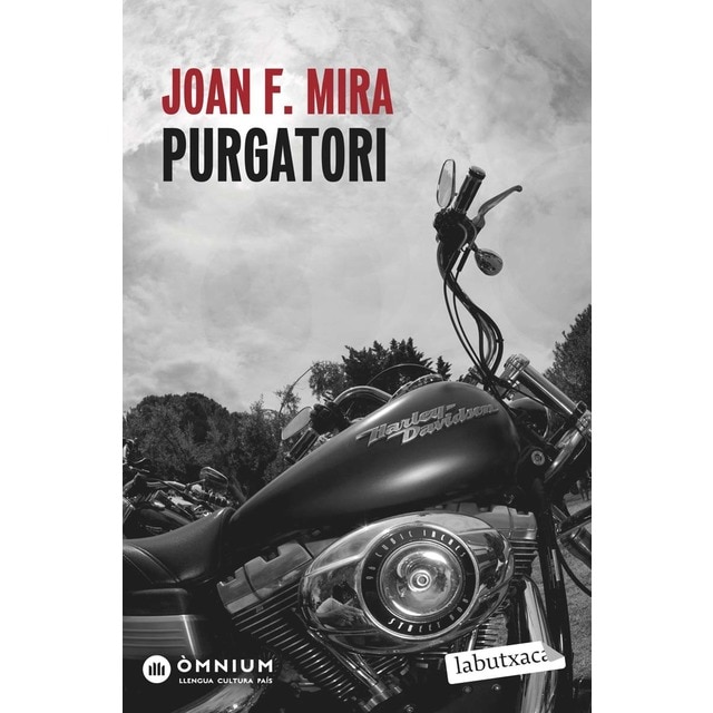 Purgatori: Premi Sant Jordi 2002 (Bolsillo) (Tapa blanda)