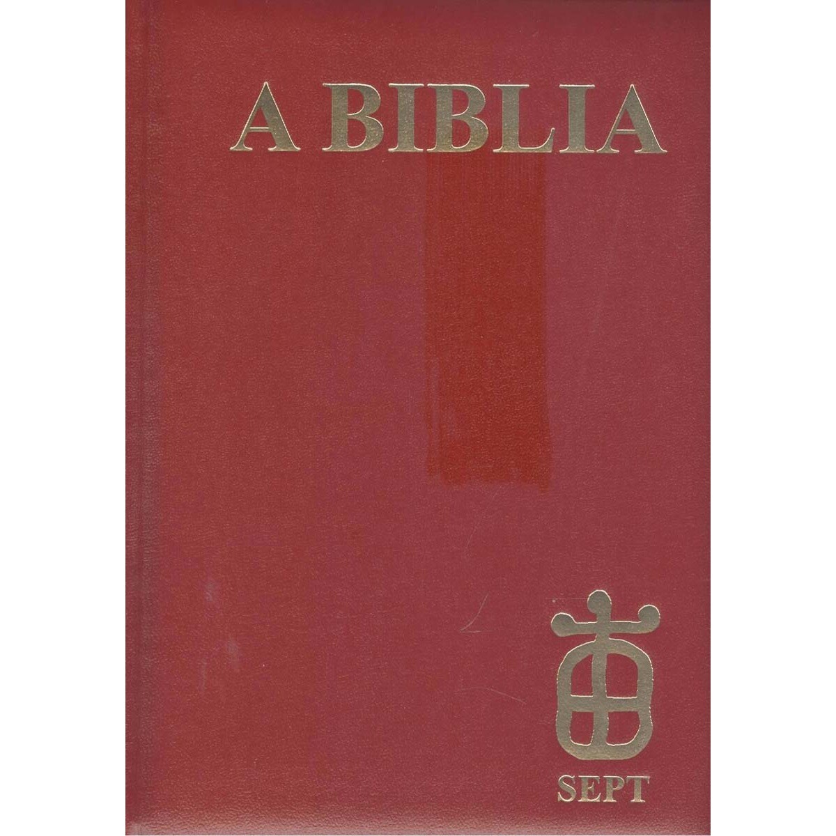 Imagem 0 de A biblia (Luxo)