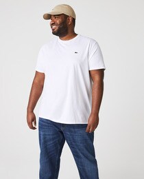Men's stockinette stitch T-shirts in pima cotton with a round collar