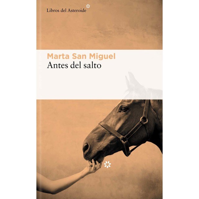 Antes del salto (Tapa blanda)