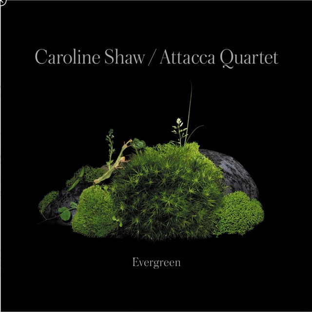 Caroline Shaw Evergreen CD