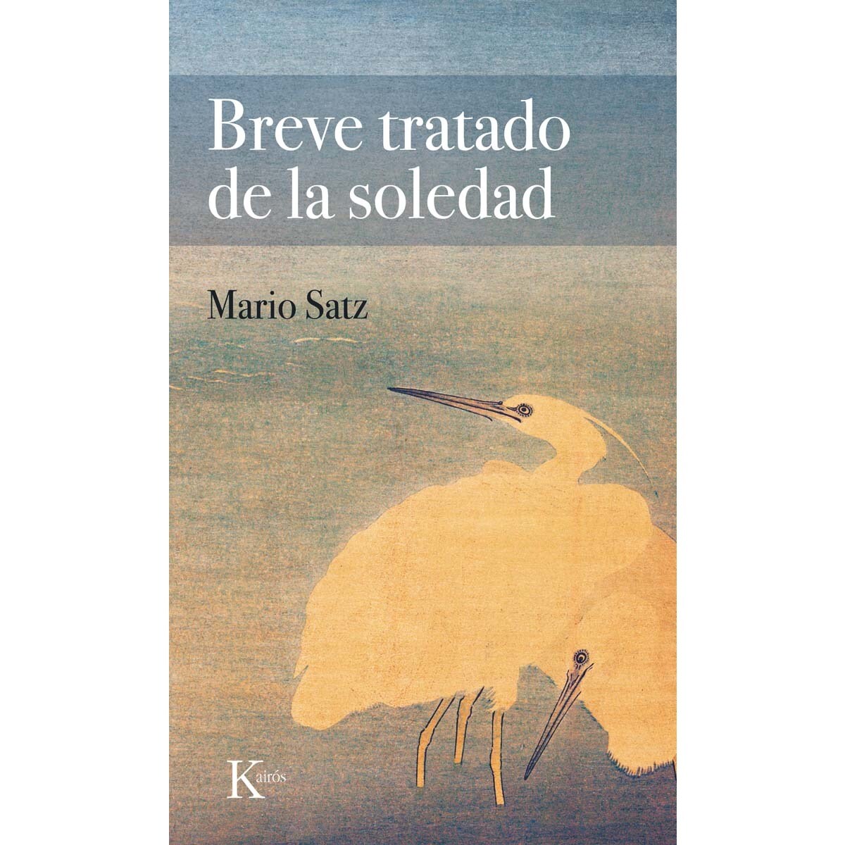Imagem 0 de Breve tratado de la soledad