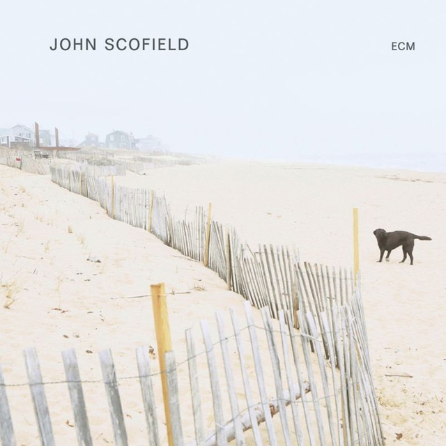 John Scofield solo album LPVinilo