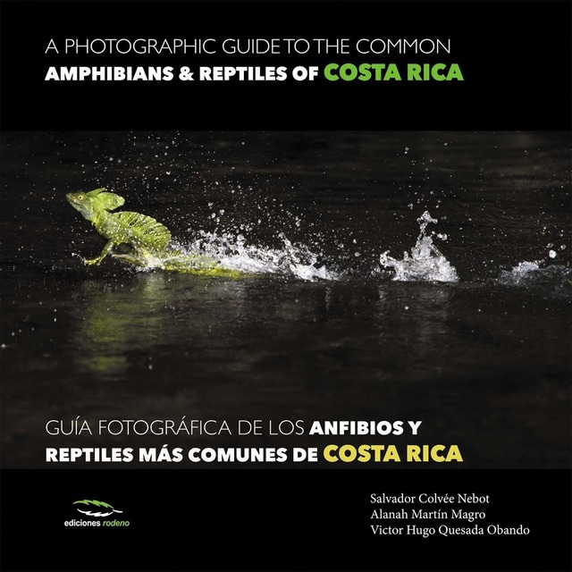 A photographic guide of the common ammphibians & reptiles of Costa Roca / Guía fotográfica de los anfibios y reptiles más comunes de Cost (Tapa dura)