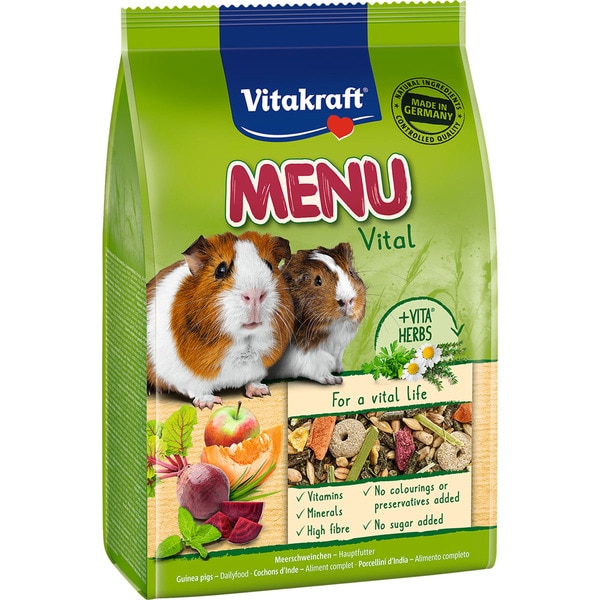 Guinea pig hot sale food container