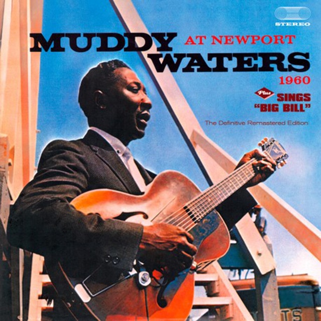 At newport 1960  Sings Big Bill CD