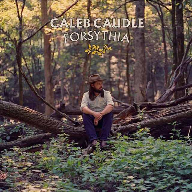 Forsythia CD