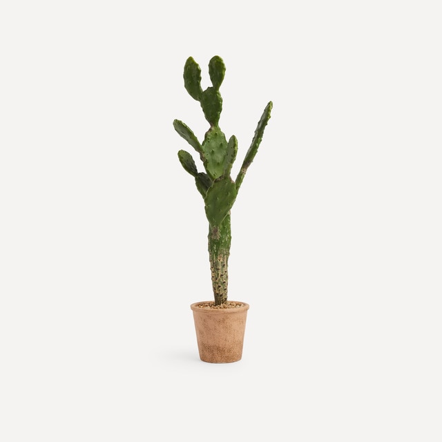 Planta artificial Cactus El Corte Inglés