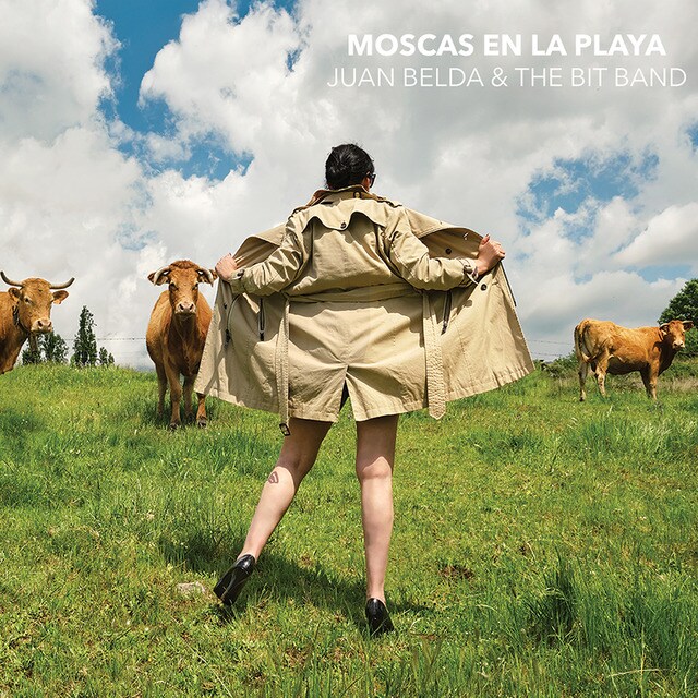 Moscas en la playa CD
