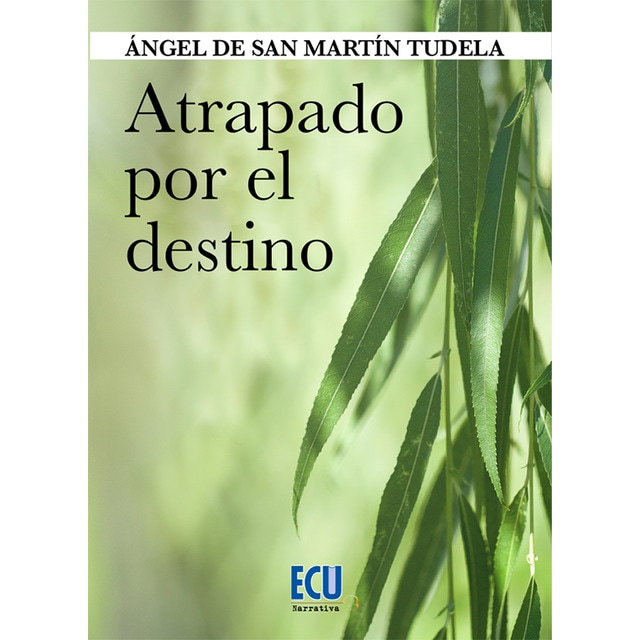 Atrapado por el destino (Tapa blanda)
