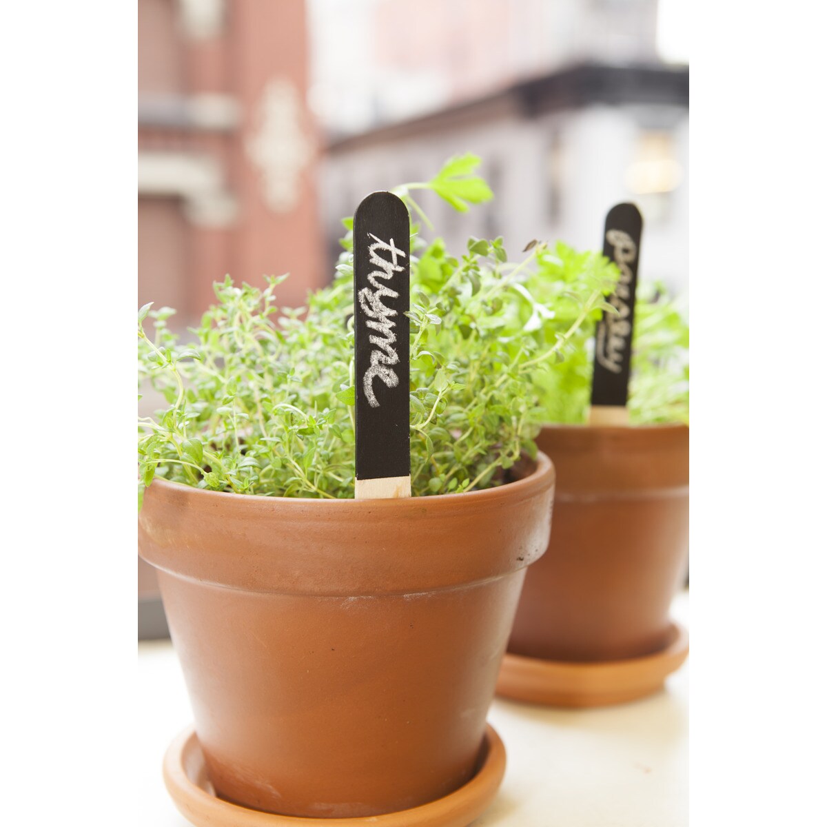 Conjunto de Marcadores para Jardinagem 4