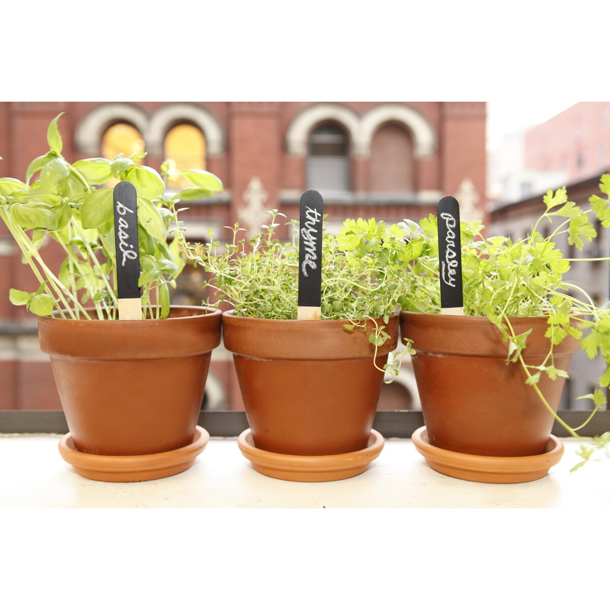 Conjunto de Marcadores para Jardinagem 3