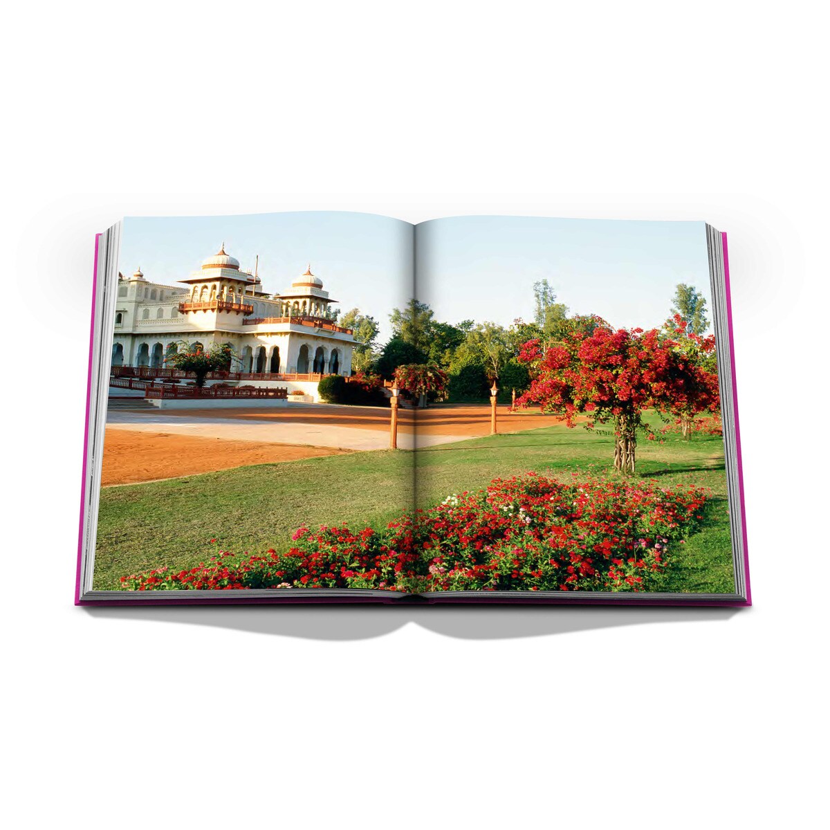 Jaipur splendor 11